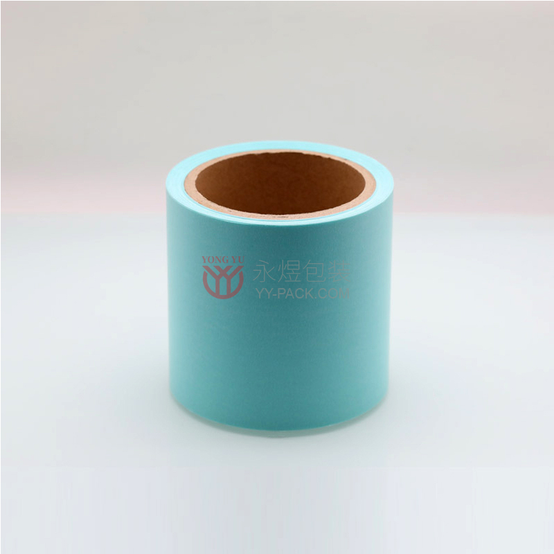 ��ɫ���ܵ��� ģ�и��뵥